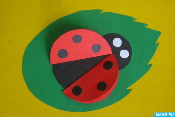 Аппликация Божья коровка в младшей группе