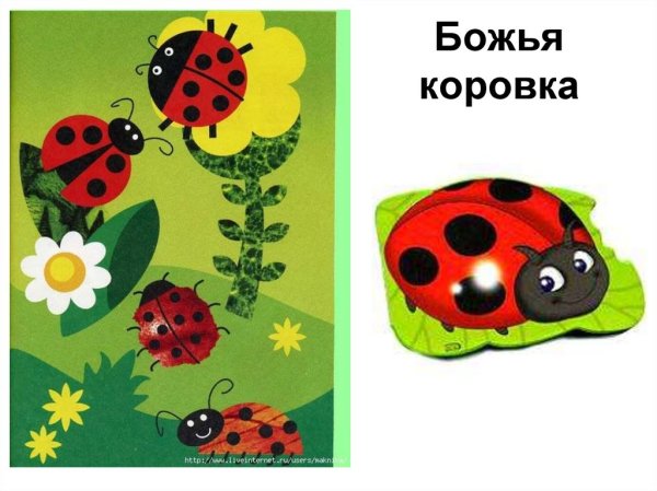 Аппликация Божья коровка