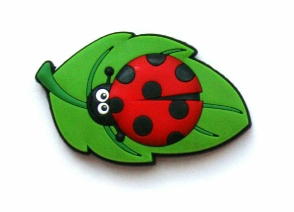 Магнит Божья коровка деревянный