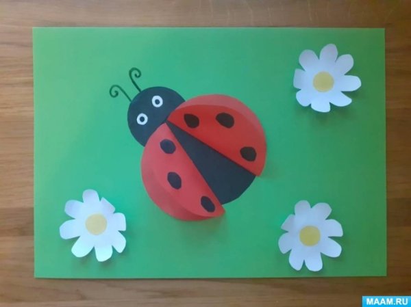 Аппликация насекомые младшая группа