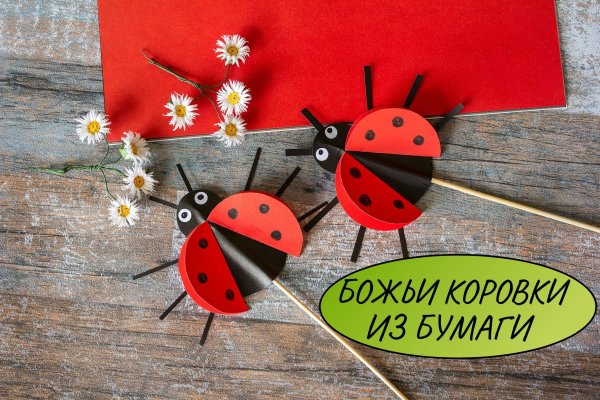 Потделка Бодья коровка