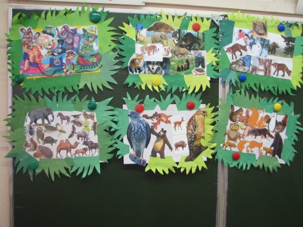 Дикие животные коллаж технология