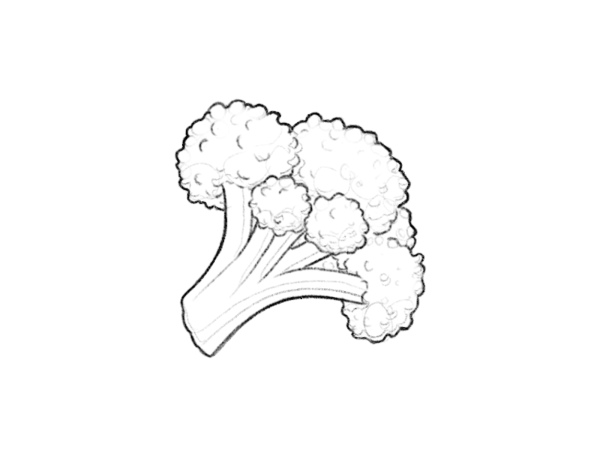 Контур брокколи для детей