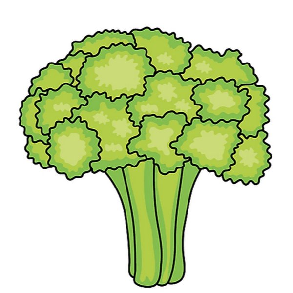 Брокколи нарисовать