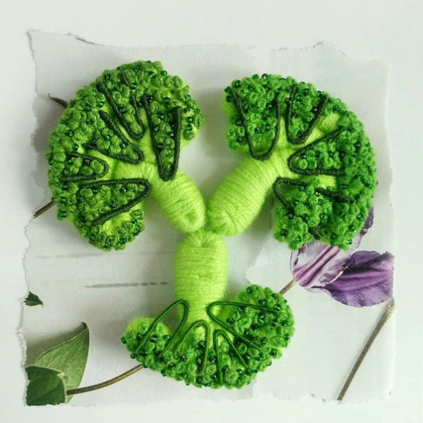 Букет из брокколи