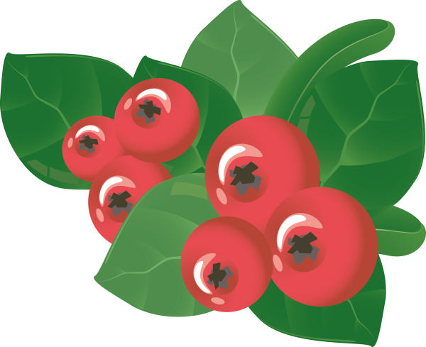 Ягоды клипарт