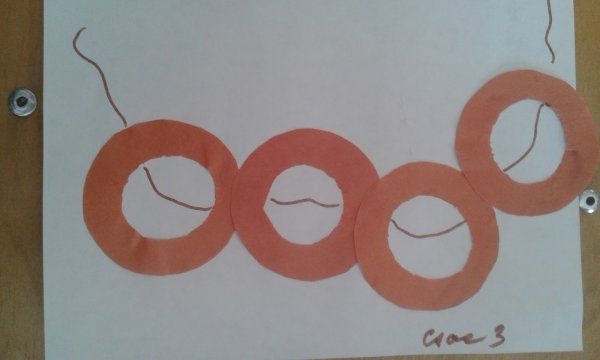 Бублики баранки лепка в 2 младшей группе Лыкова