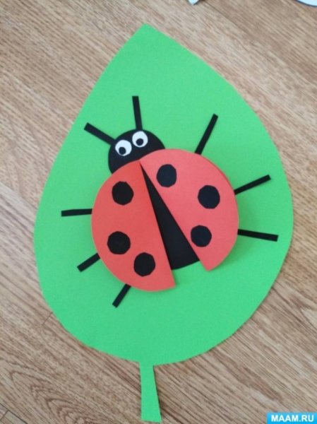 Аппликация насекомые в подготовительной группе
