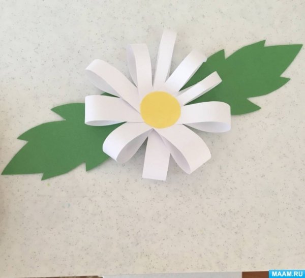 Ромашки аппликация из бумаги