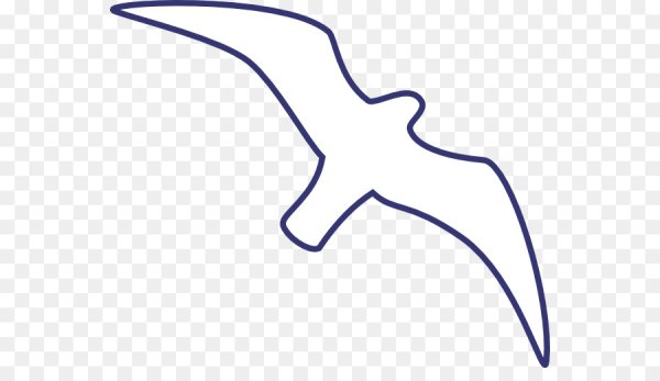 Контур Чайки