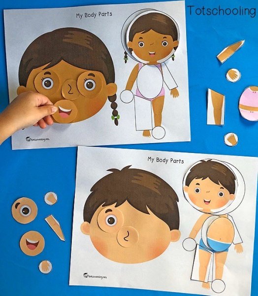 Части тела аппликация для детей