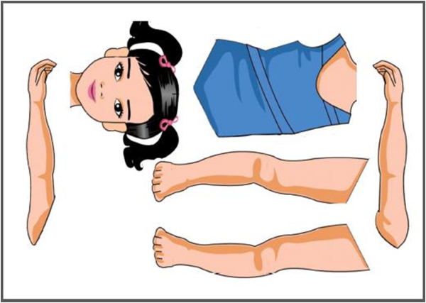 Разрезная кукла части тела