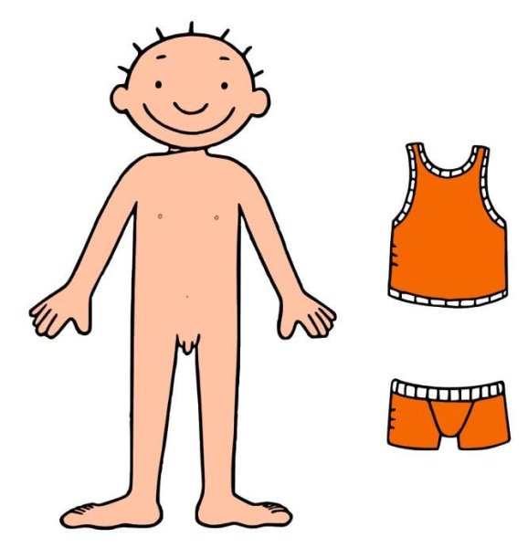 Части тела аппликация для детей