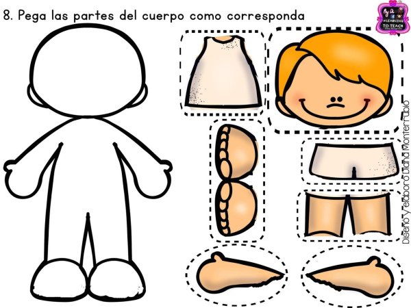 Части тела для дошкольников