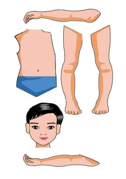 Части тела для детей