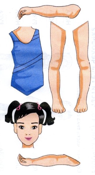 Части тела человека для детей