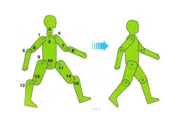 Человек из картона