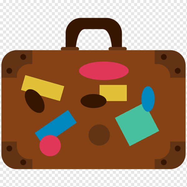 Сумка для аэропорта