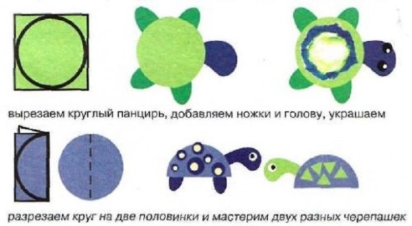 Черепашка аппликация для детей