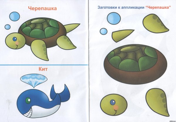 Аппликация черепашка