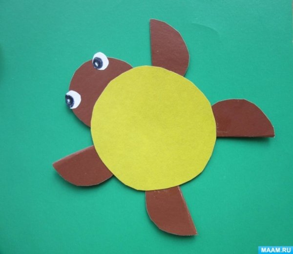 Аппликация черепаха старшая группа