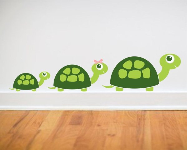 Черепашка в комнате