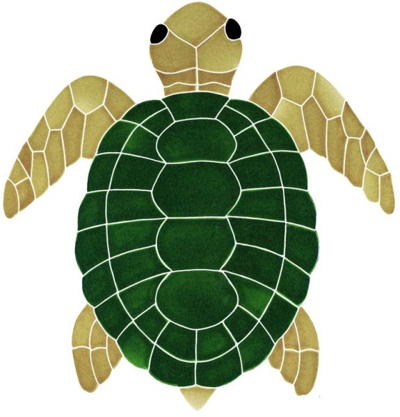 Аппликация черепашка