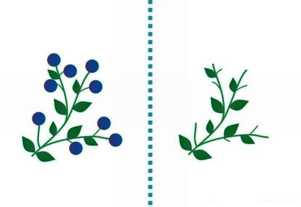 Шаблоны для рисования пальчиками