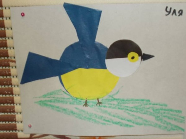 Аппликация синичка в старшей группе