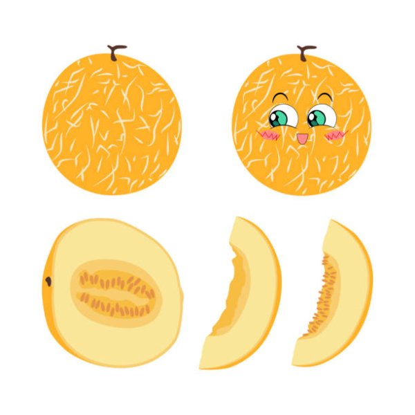 Дыня аппликация