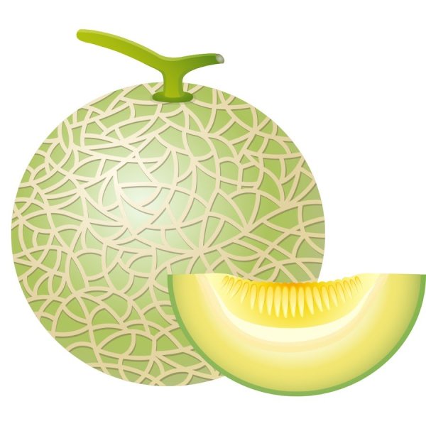 Дыня на прозрачном фоне