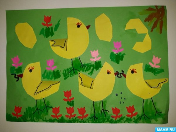 Аппликация цыпленок в средней группе