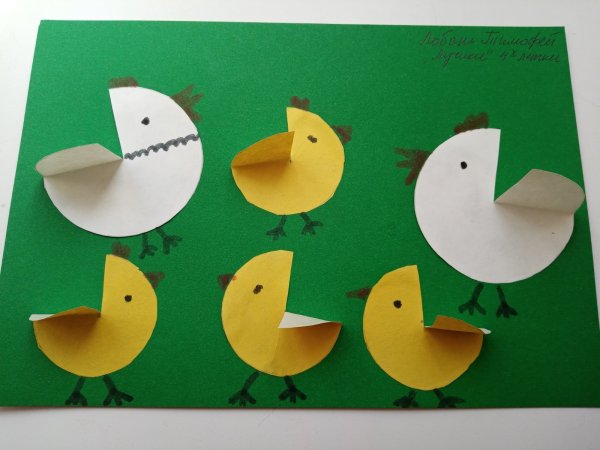 Аппликация домашние птицы средняя группа