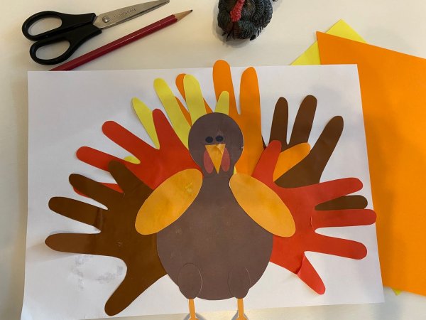 Аппликация домашняя птица