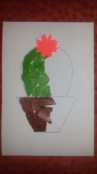 Аппликация комнатные цветы средняя группа