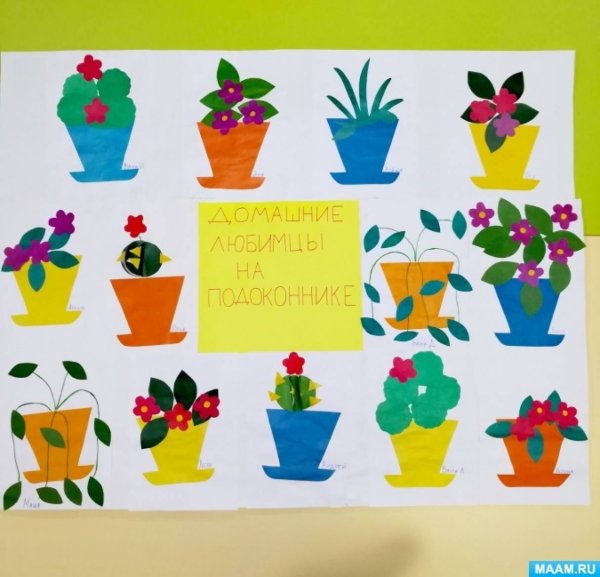 Аппликация комнатные растения в подготовительной группе