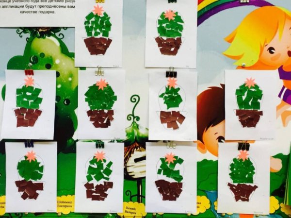 Пластилинография Кактус в горшочке в старшей группе