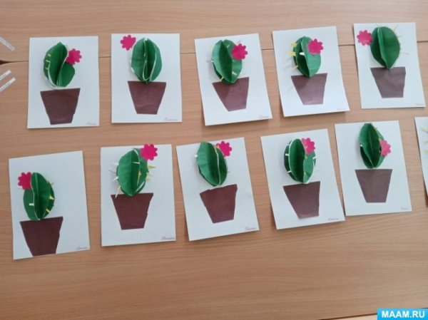 Аппликация комнатные цветы в старшей группе