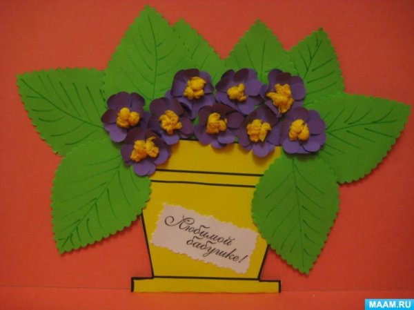 Аппликация комнатные цветы в старшей группе