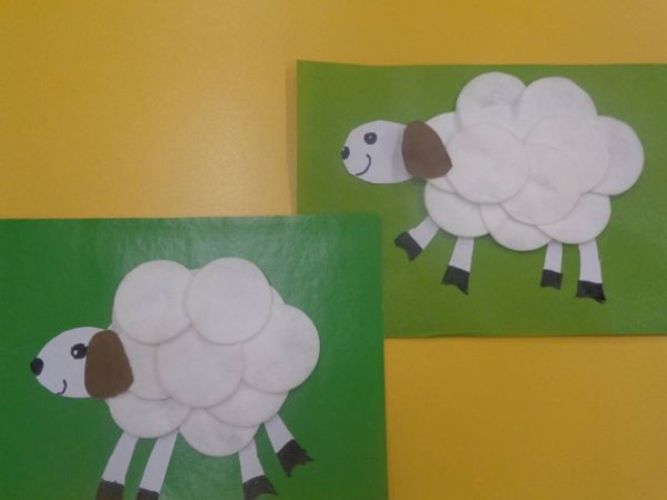 Апликациидомашние животные