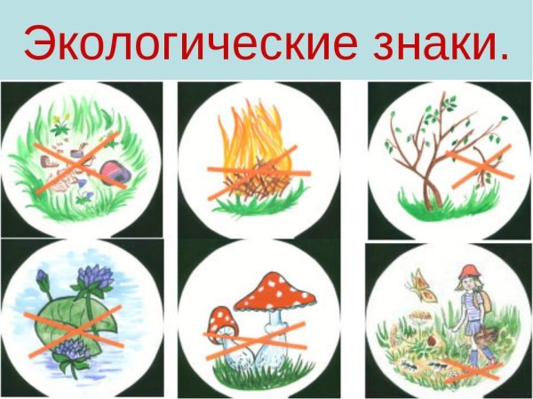Экологические знаки по охране природы