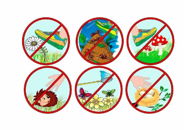 Знаки берегите природу для детей
