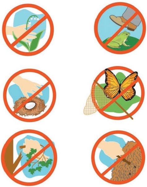 Зпрегающие экологические значки