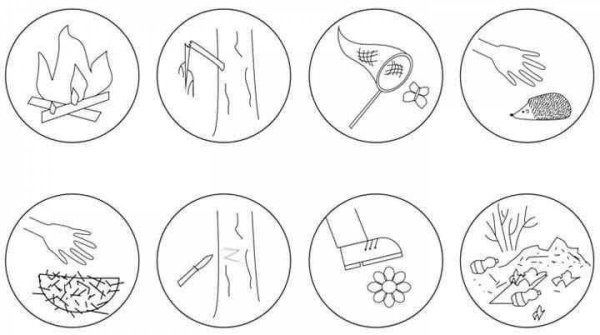 Знаки поведения в природе для дошкольников