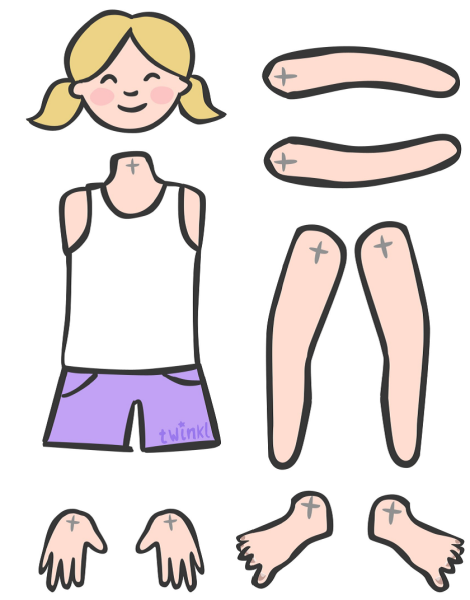 Части человека для детей