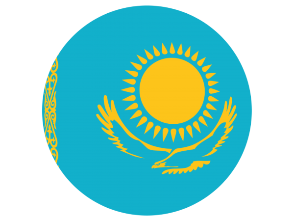 Беркут на флаге Казахстана