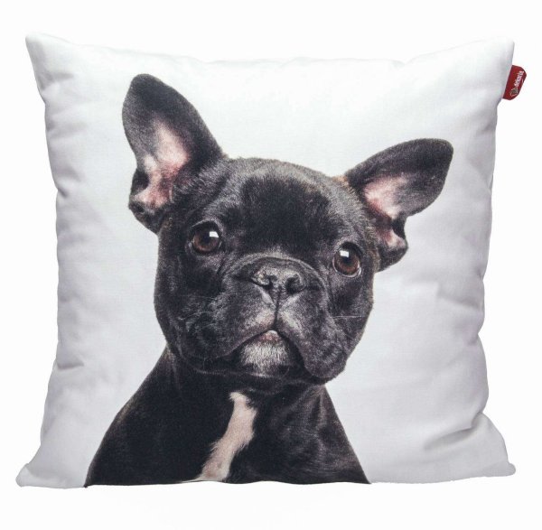 Аппликация французский бульдог на одежду купить