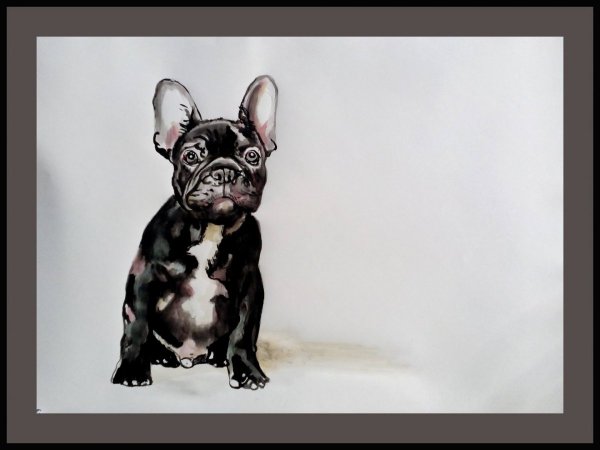 Французский бульдог арт