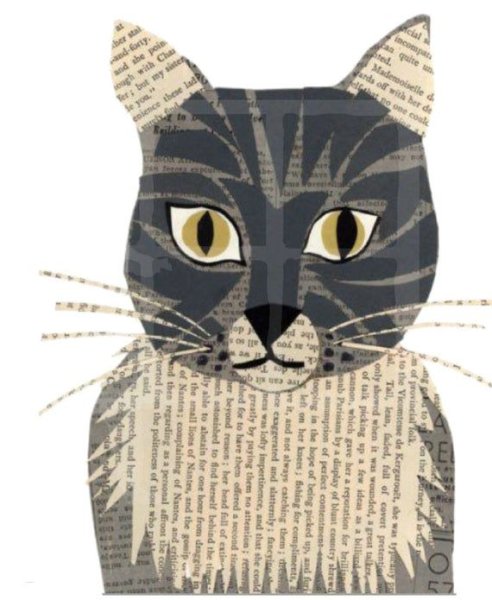 Коты из газеты