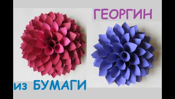 Георгин из бумаги аппликация